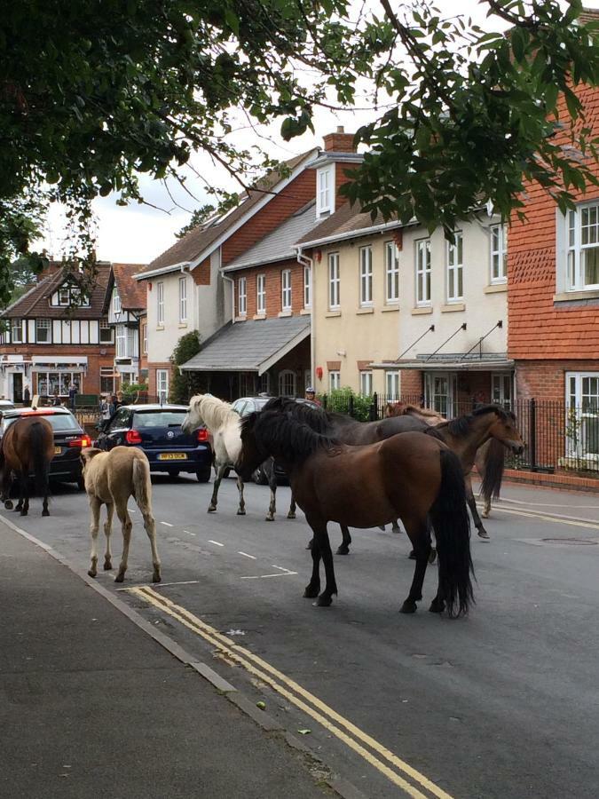 Brockenhurst Apartments Eksteriør bilde